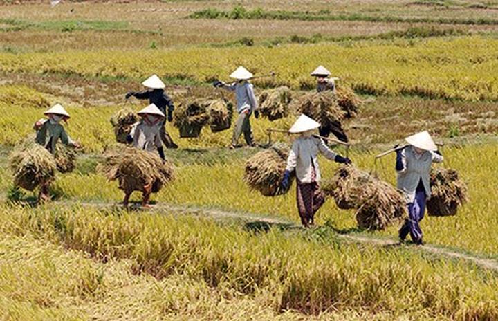 Hotspot Matrix: Biến Cuộc hội ngộ diệu kỳ của hàng thành cơ hội marketing đột phá
