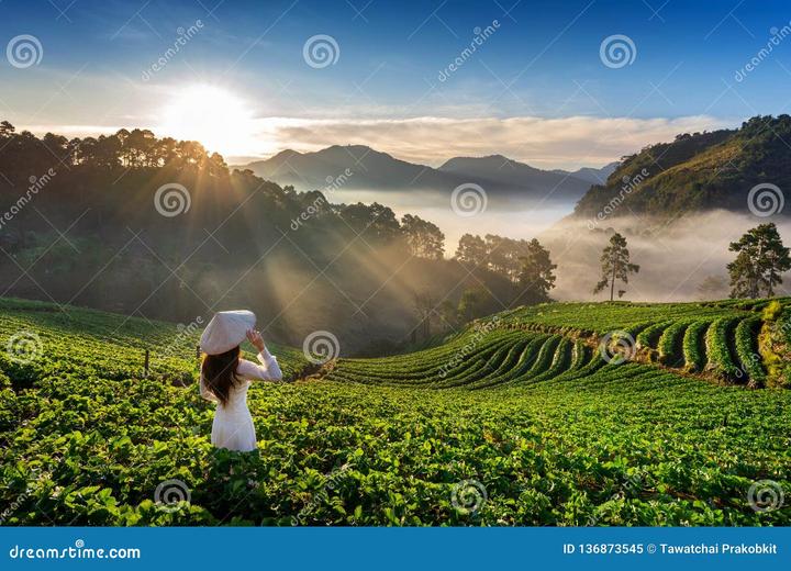 Loại cá được khen