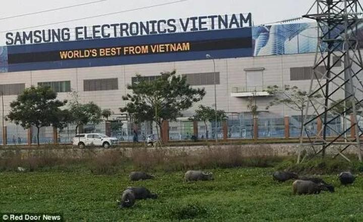 Hotspot Matrix và Cô Đi Mà Lấy Chồng Tôi đời thực: 1 mỹ nhân tổ chức hôn lễ hoành tráng