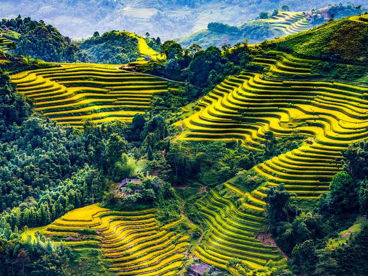 Nội dung: Mùa hè đang đầy vui vẻ với những xu hướng mới, và Huda Ice Twist đang chinh